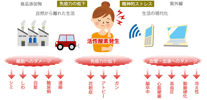 活性酸素発生 活性酸素発生