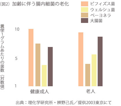 免疫能の変化