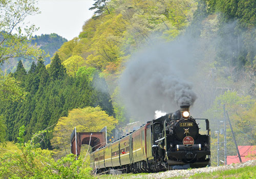 新緑のチカラでリラックス♪