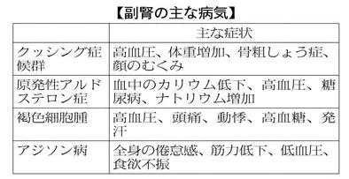 美肌に効くプロバイオティクス徹底ガイド